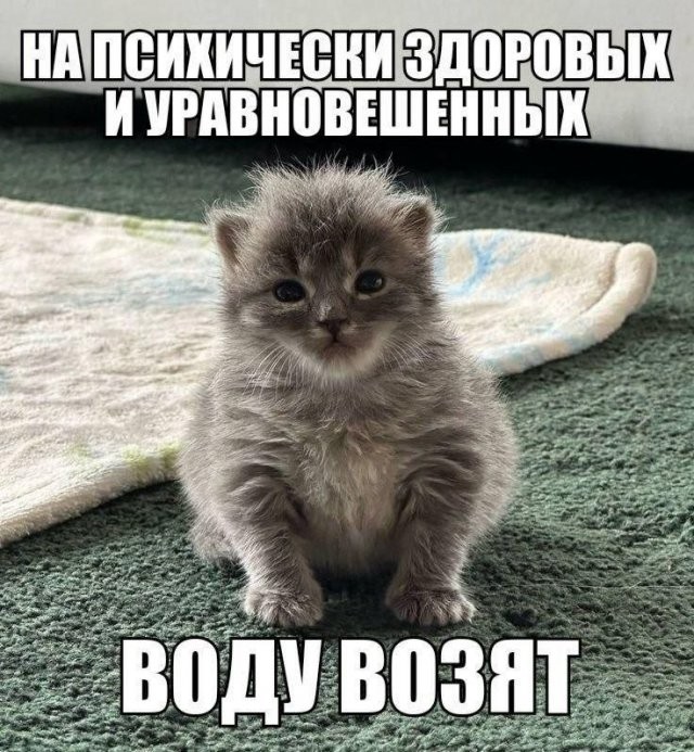 Так себе картинки 25.08.26