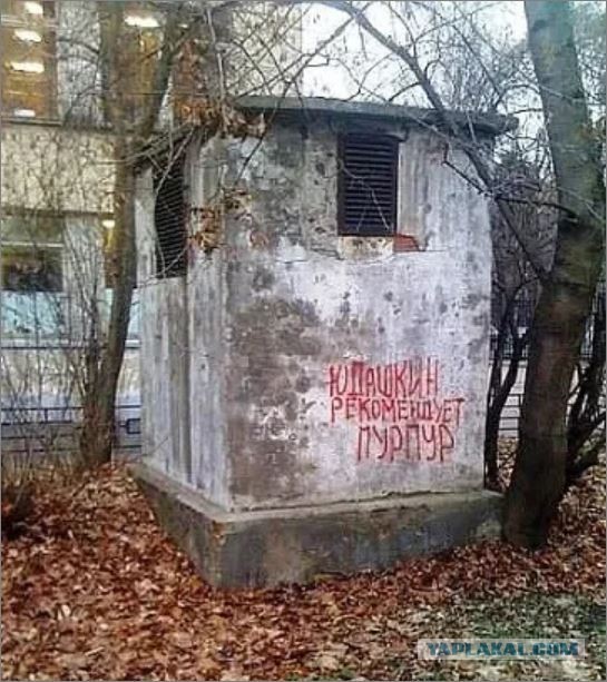 Скоро осень...