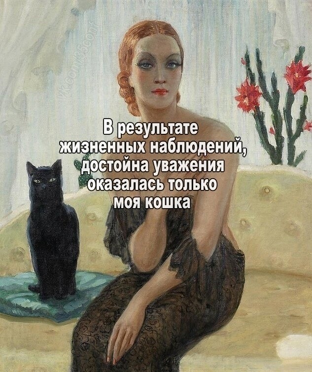 Картинки для деградации 301 (разной степени свежести)