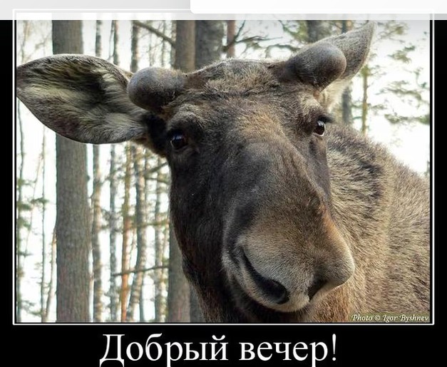 Не туда