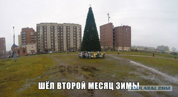 США, жадность и мороз