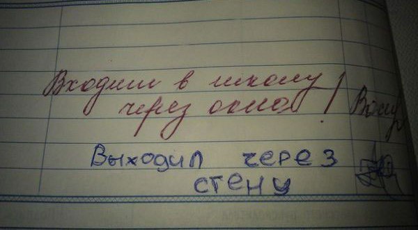 Записи в Дневниках