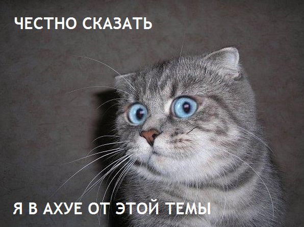 А я ведь предупреждал