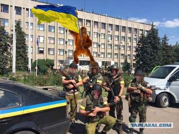Украинская армия в Славянске