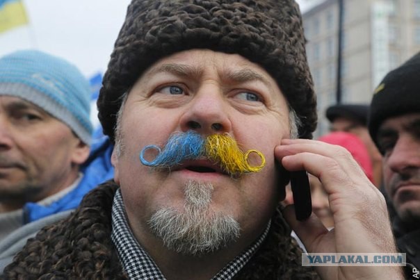 Майдан головного мозга