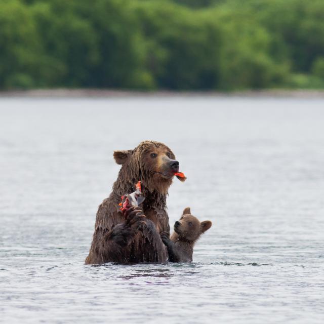 National Geographic,избранное...