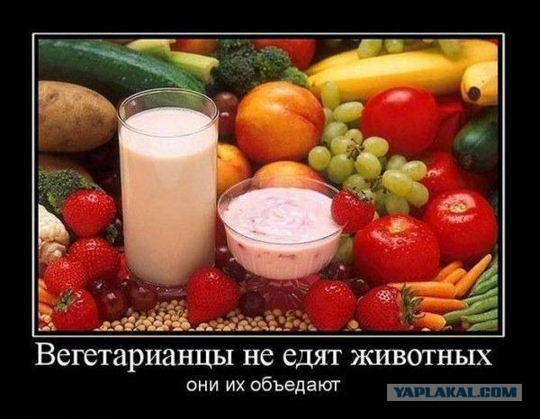 Всё ясно с вегетарианцами