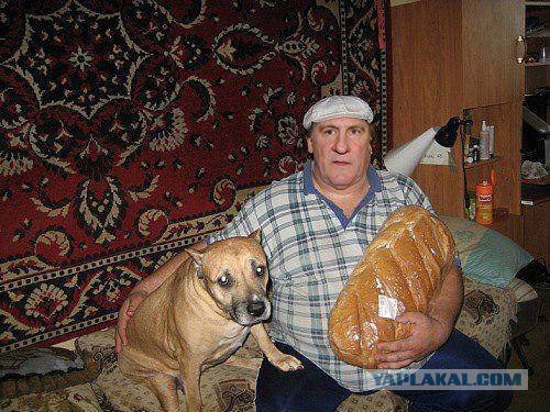 А давайте, представим политиков
