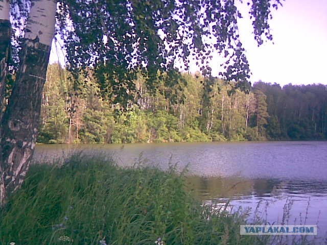 Мальдивы. Обратная сторона.