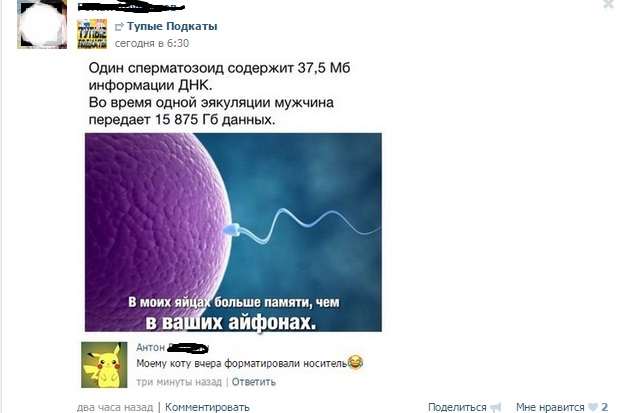 Смешные комментарии из социальных сетей