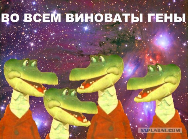 Любите чужих детей