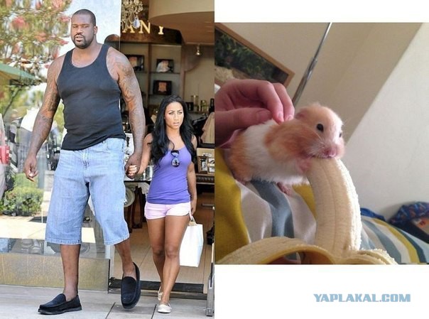 Celebrity Couples With a Major Height Difference