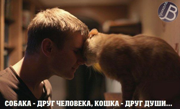 Картинки и приколы из соц.сетей и интернета