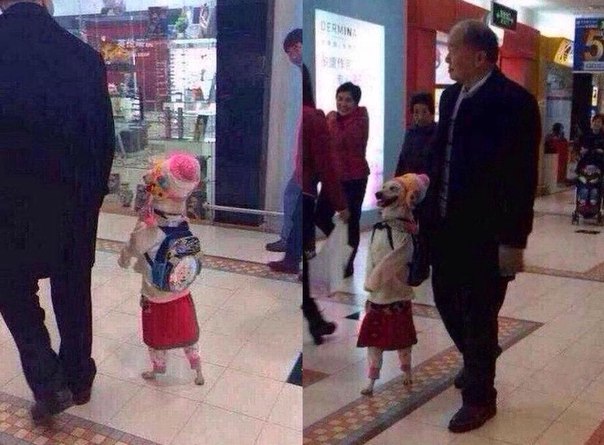 Картинки из ваших этих итернетов...