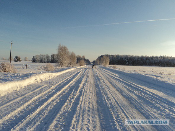 Приезжайте в деревню