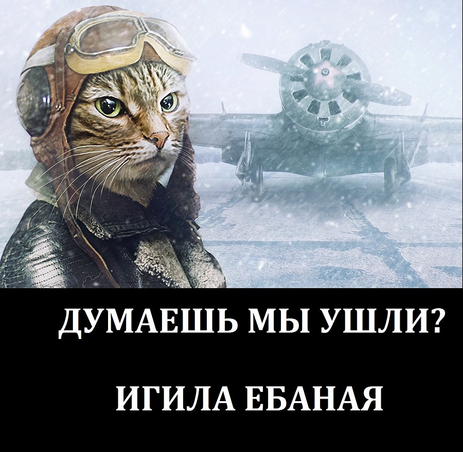 Ебаная игила