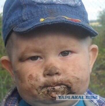 Этот ВЗГЛЯД!