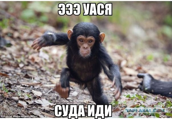 СтопХамСПб - Добрый совет