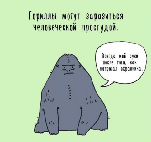30 личных наблюдений