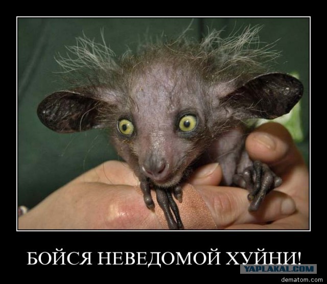 Немного деграданса - 7