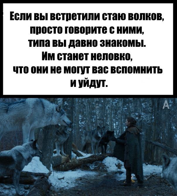 Деградировать подано, дамы и господа!