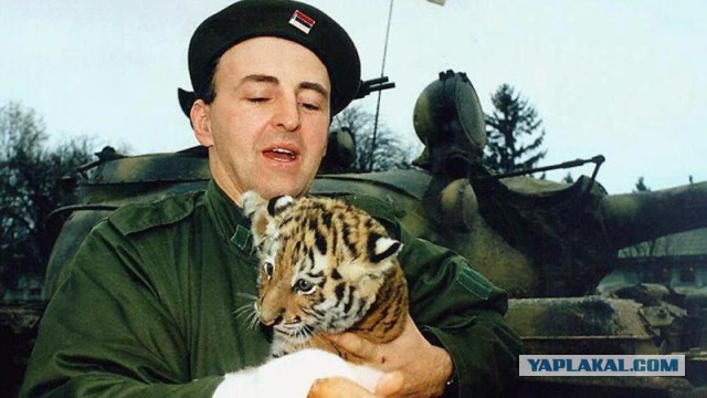 25 лет спустя после войны в Боснии...