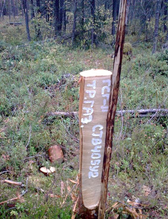 Биатлон. Межсезонье.