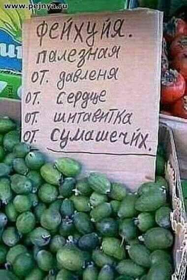 Подборка интересных и веселых картинок