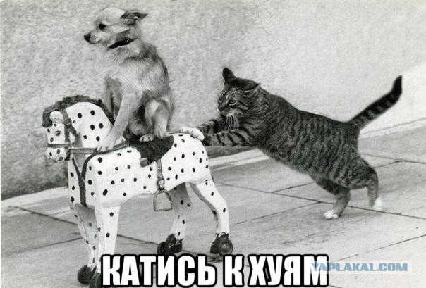 Пугачевой в Новый год не будет: Примадонна обиделась на критику и отказалась сниматься, несмотря на высокие гонорары