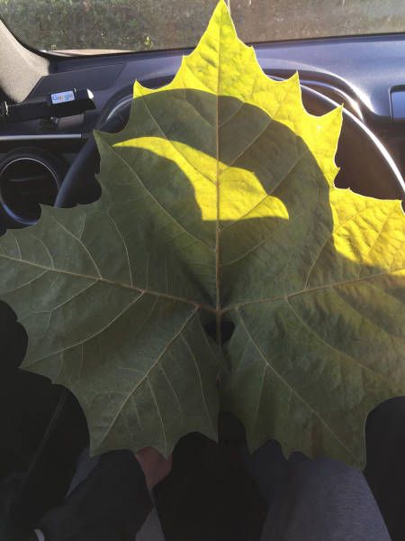 Подборка интересных и веселых картинок