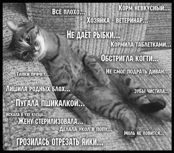 Итоги проверки пользователей