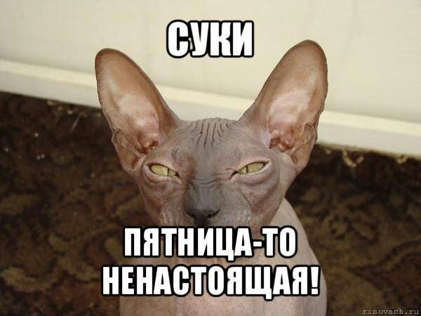 Кубики на пятницу