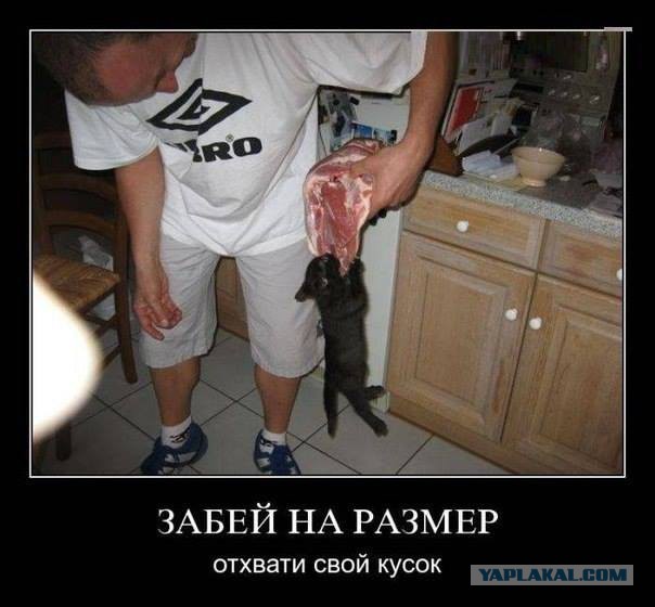 Прикалюхи