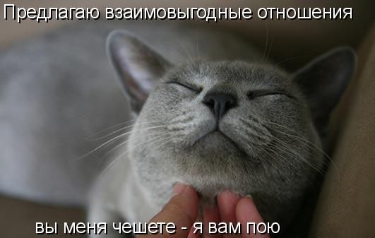 Устами котов