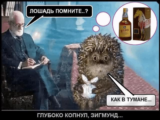 Смешные комментарии из социальных сетей 28.12.2018