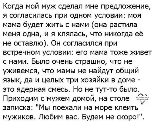 Анекдоты, соц-сети и картинки с надписями