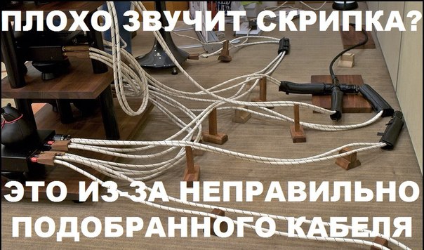 Винил снова в моде?