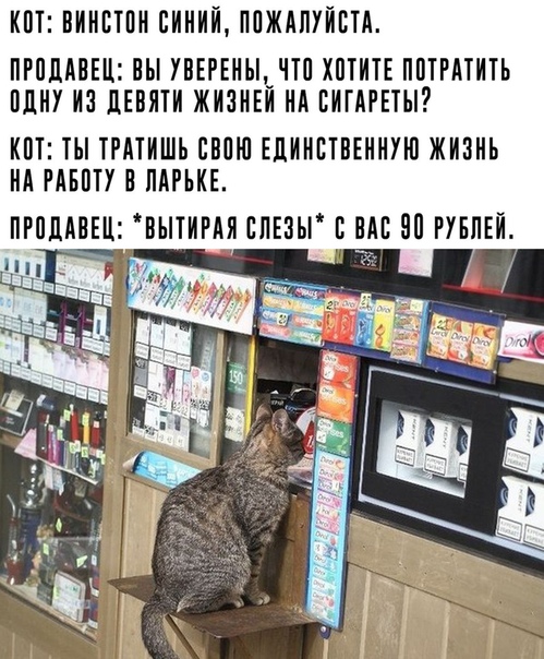 «Картинки разные нужны, картинки разные важны» 28.09