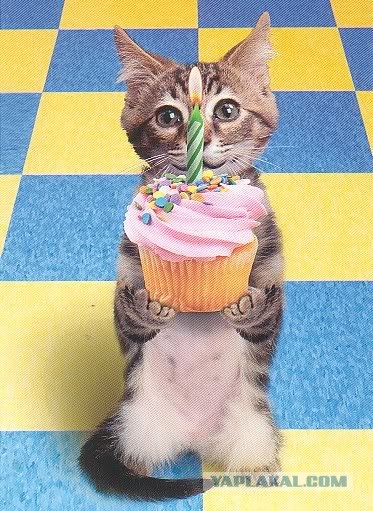 7  лет сайту ЯПлакалъ!