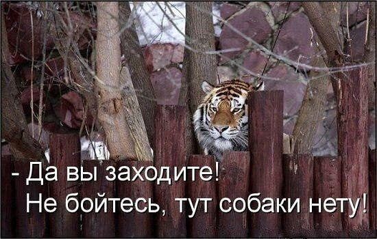 Звонок против незваных гостей