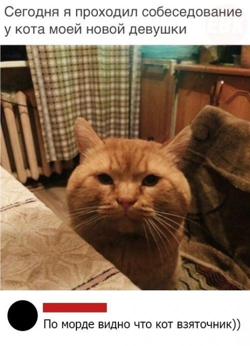 Кретинки