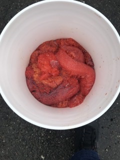 Давно забытое. Черная икра