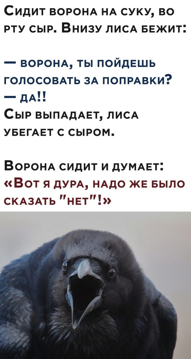 Этика выбора. Стоит ли голосовать.