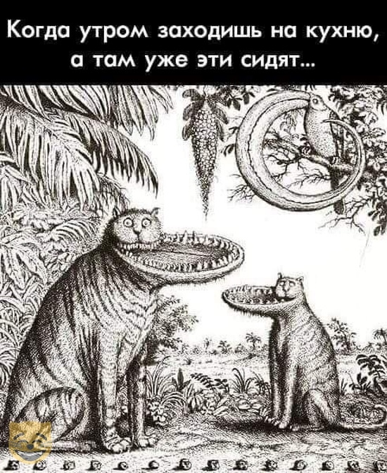 Немного картинок для настроения 20.06.20