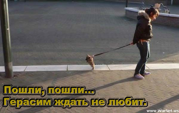Простое человеческое счастье в картинках
