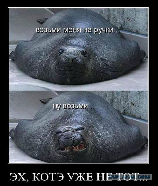 Фотожаба: Рассмешим Лока?
