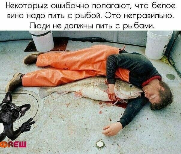 Немного картинок для настроения 17.11.20