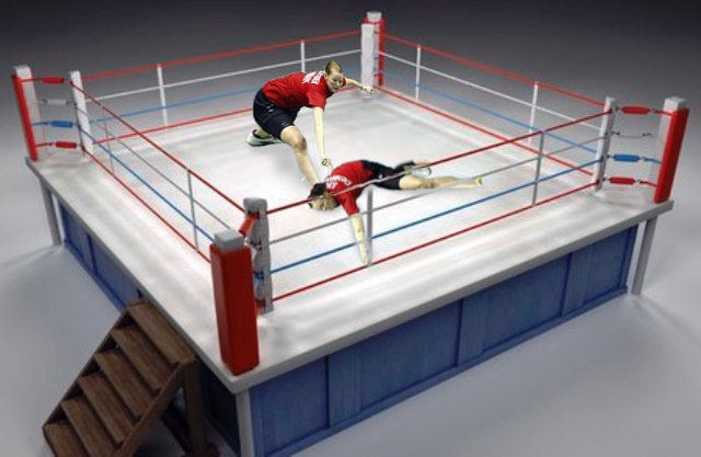 Бадминтон (Жабы)