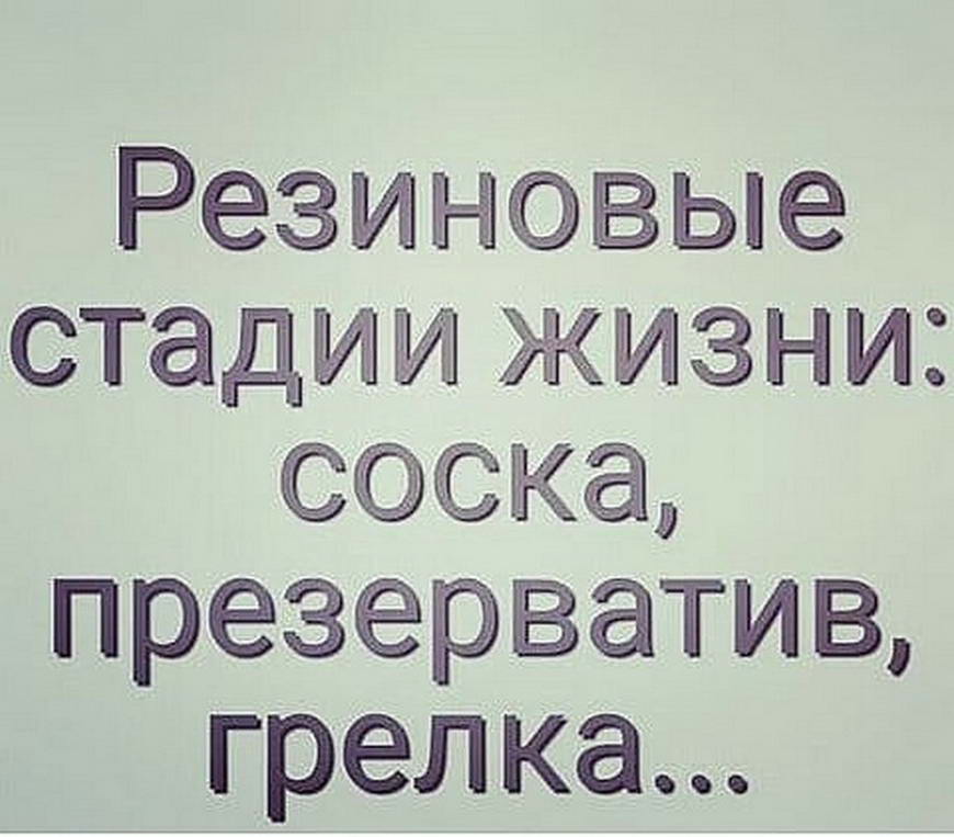 15096593.jpg