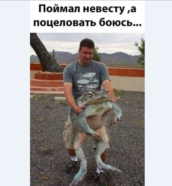Картинки и мемы для настроения 015